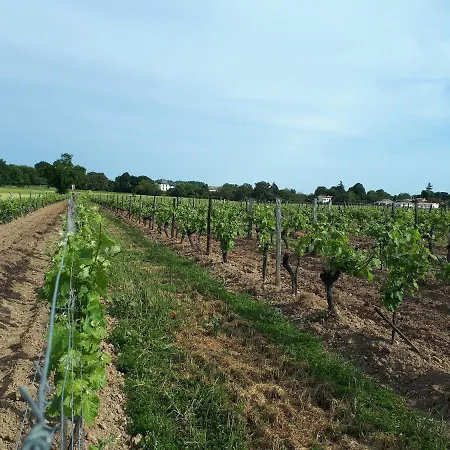 Escapade Entre Vignes Et *